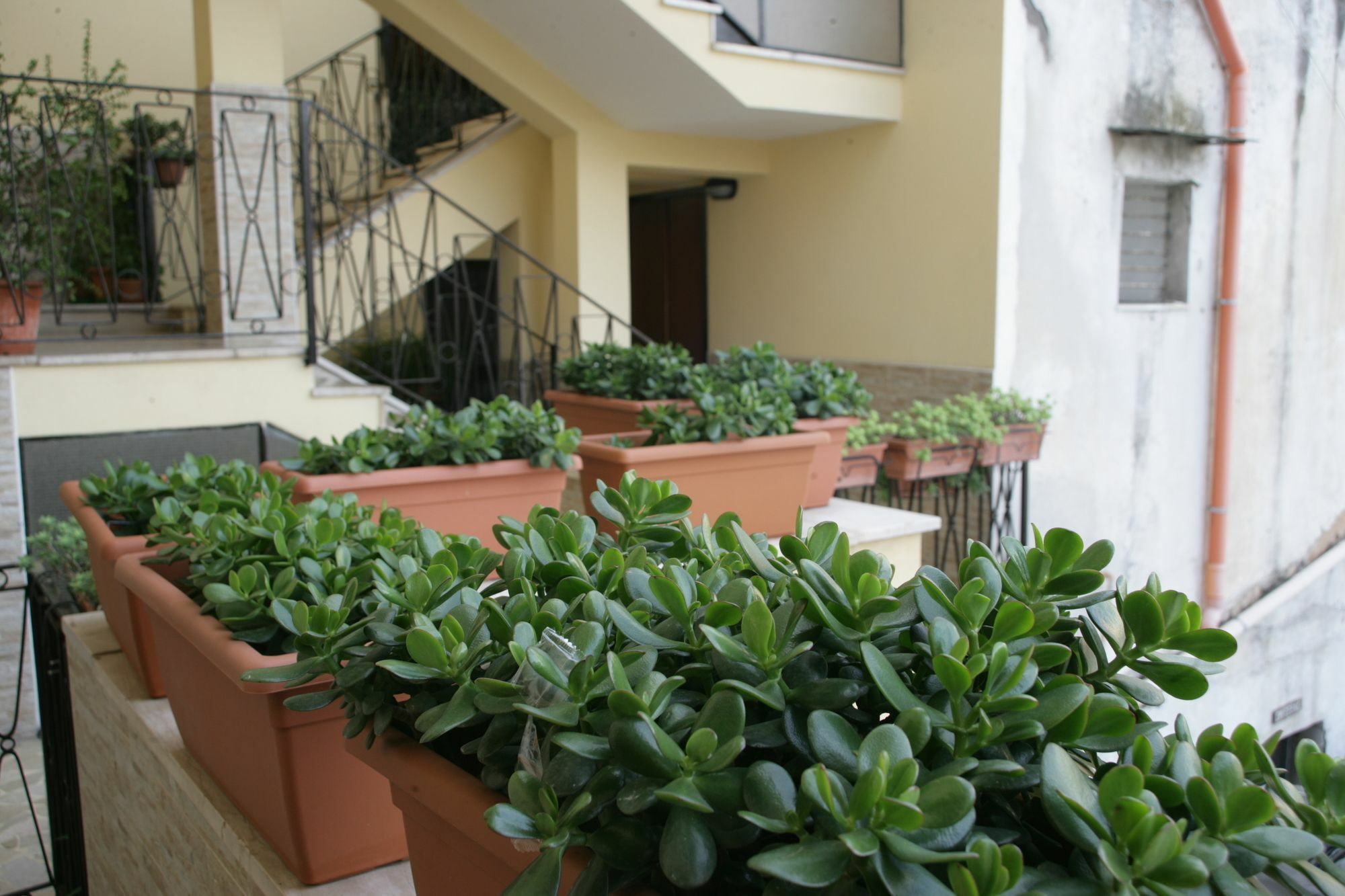 Casa Carmen Apartment Наполи Екстериор снимка